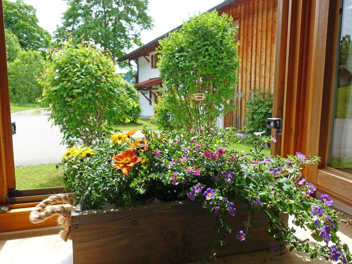Ferienwohnung Murmeltier Sachrang Ngoại thất bức ảnh